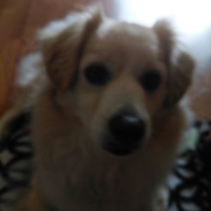 Meet your Posher, Louann